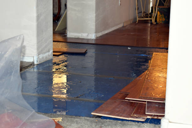 Professional Burst Pipe Cleanup technician working in Norwood, OK